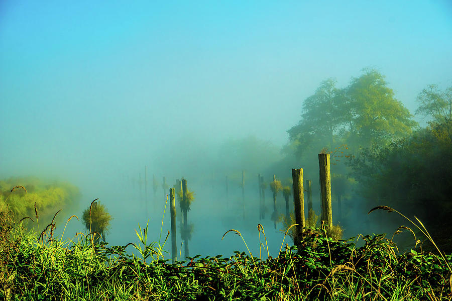 Foggy River Photograph by Peggy McCormick