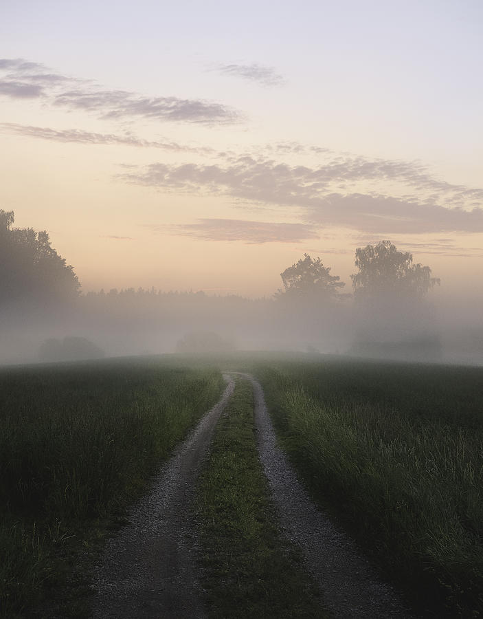 Tree Photograph - Foggy Road by Christian Lindsten