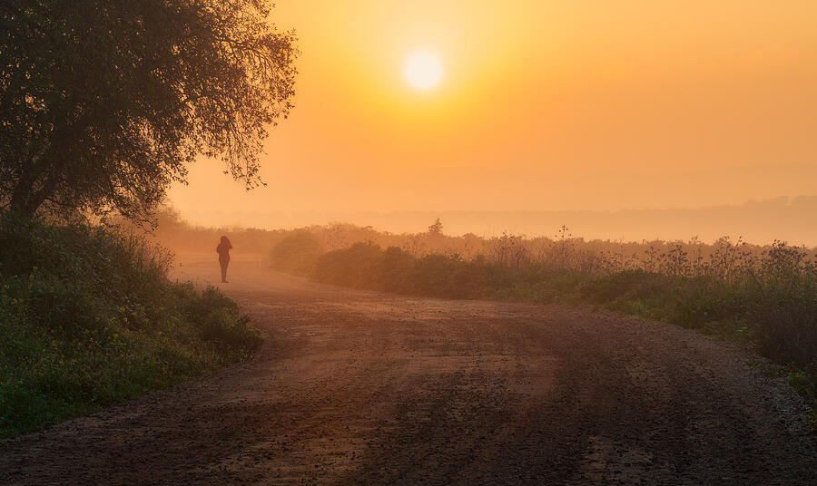 Foggy Road Photograph by Haim Rosenfeld