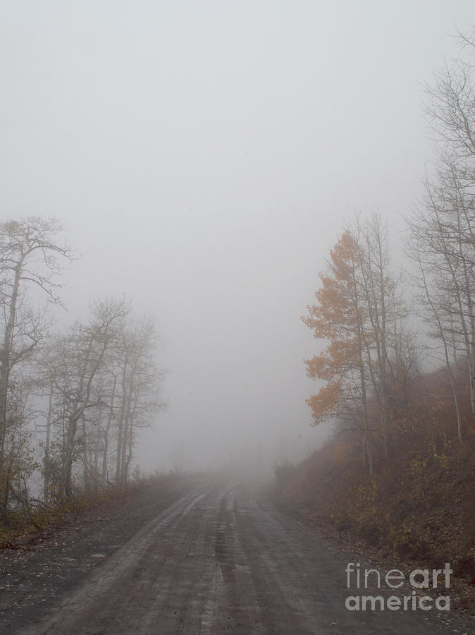 Foggy Road Photograph by Julia McHugh