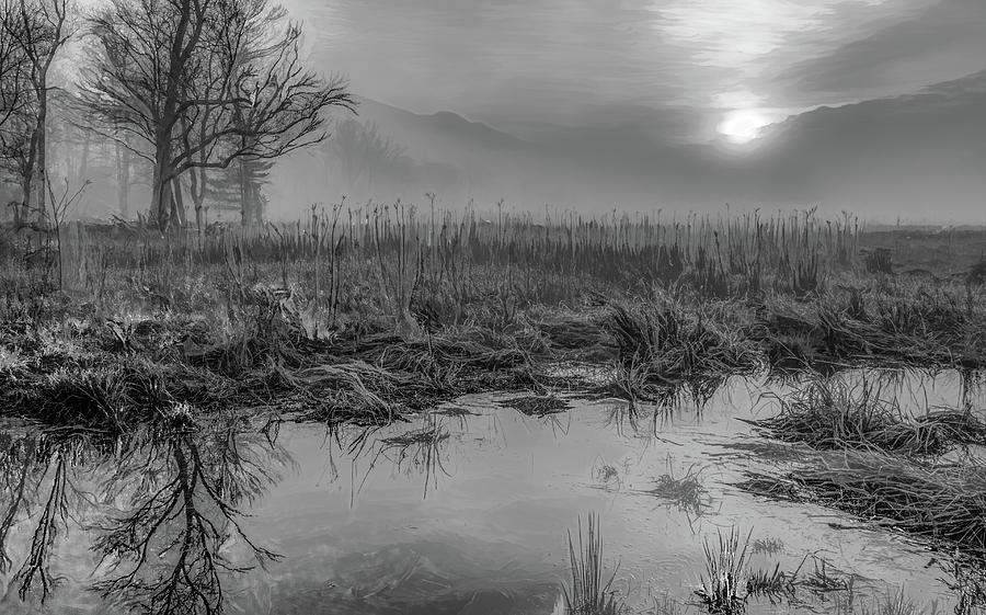 Foggy Sunrise, Black and White Photograph by Marcy Wielfaert
