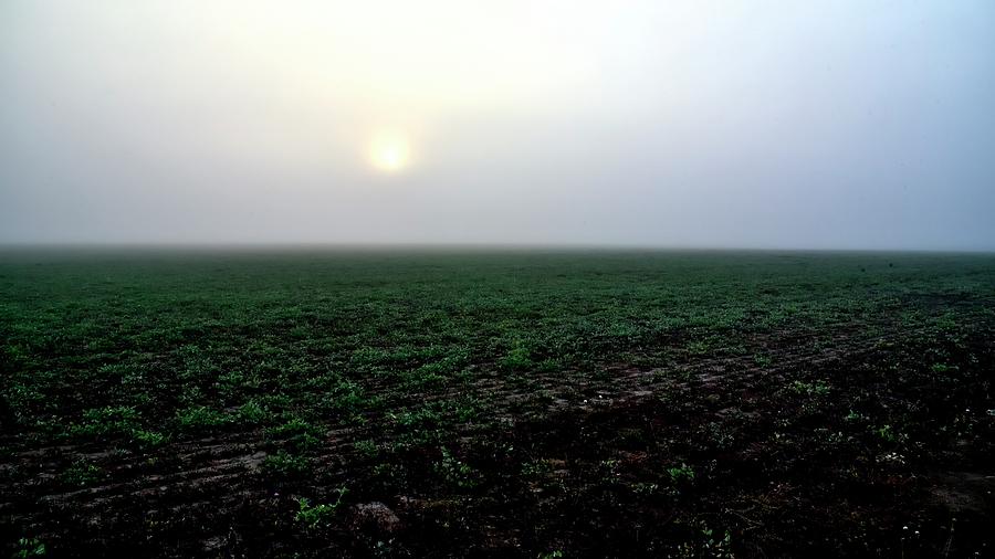 Foggy Sunrise Field Photograph by Jerry Sodorff
