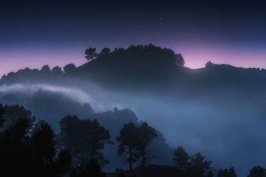 Foggy Sunrise. Photograph by Juan Pablo De Miguel
