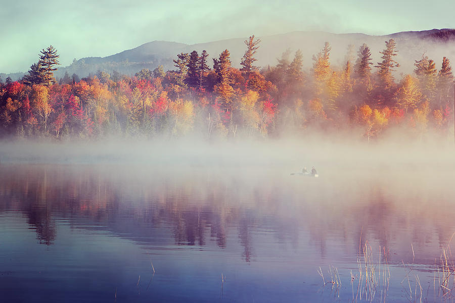 Tree Photograph - Foggy Sunrise in Adirondack by Magda Bognar
