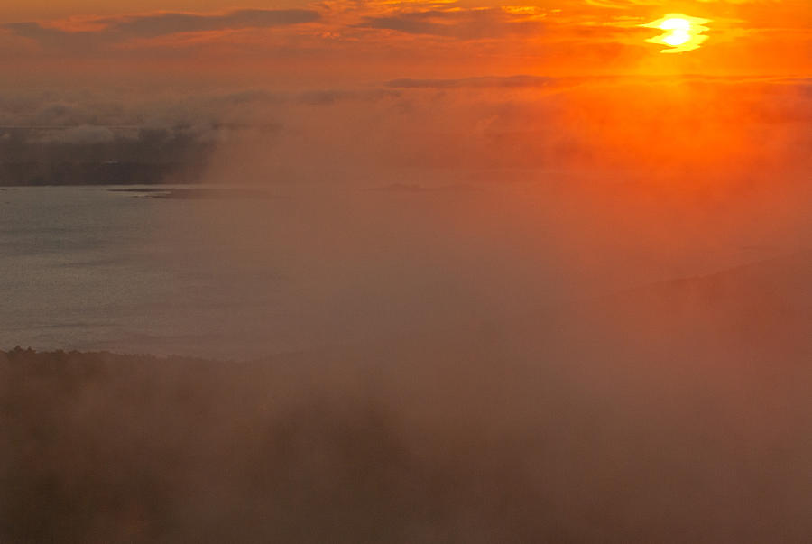 Foggy Sunrise Photograph by Paul Mangold