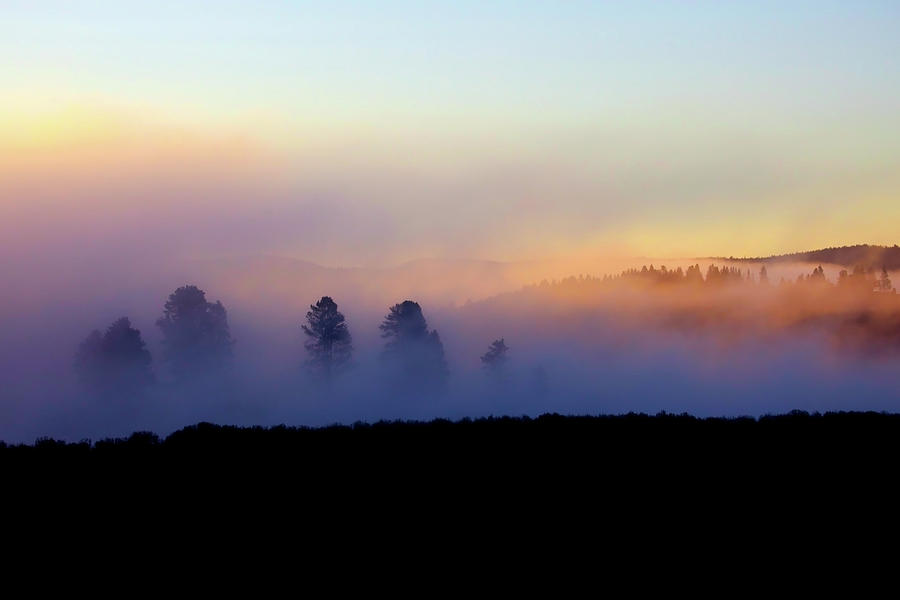 Foggy Sunrise, Yellowstone National Park Photograph by © Rozanne Hakala