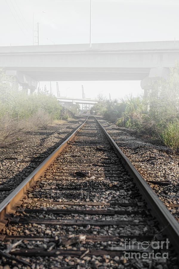 Foggy Train Tracks Photograph by Dale Powell