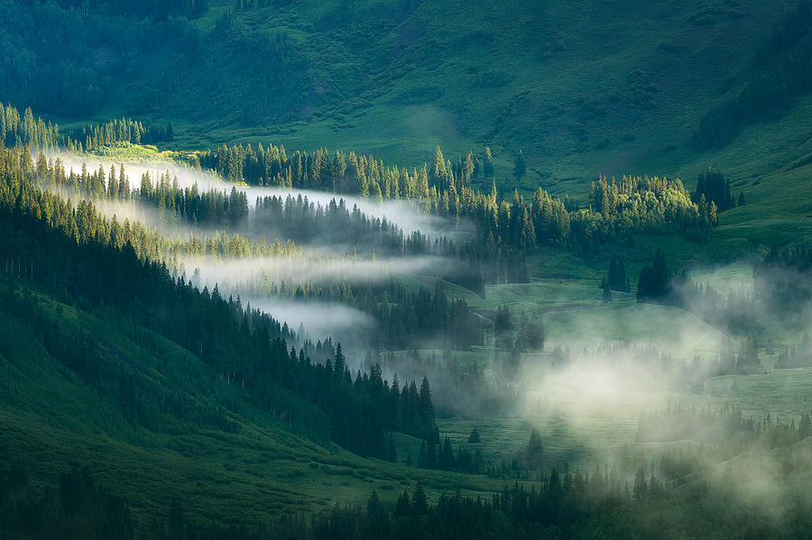 Foggy Valley Photograph by Mei Xu
