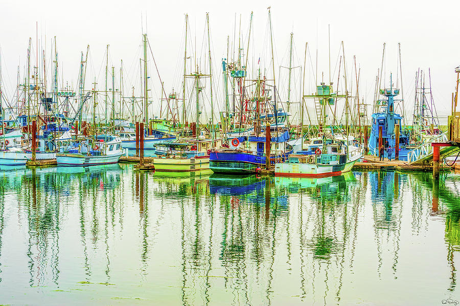 Foggy Wet Harbor Photograph by Dee Browning
