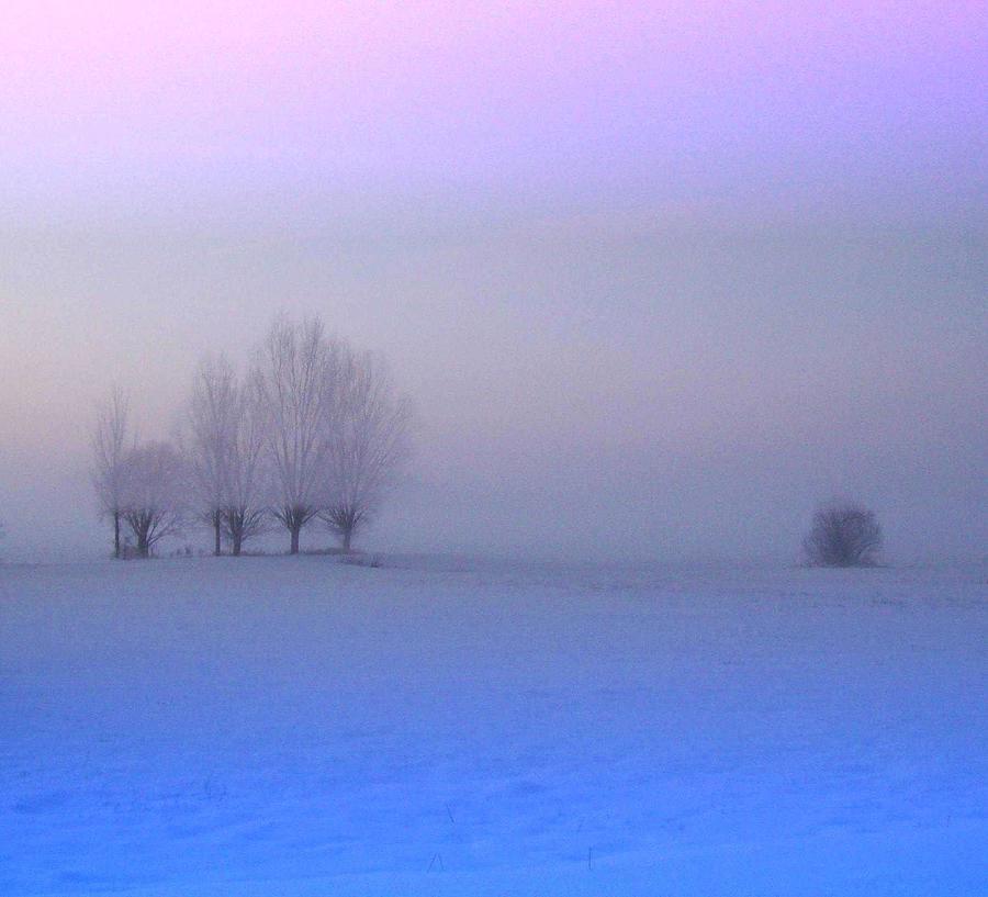 Foggy Winter Landscape At Sunset Photograph by Created By Tobi2008