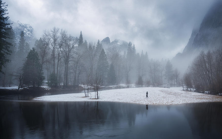 Foggy Yosemite Photograph by Aidong Ning