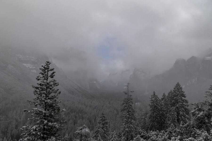 Foggy Yosemite Photograph by Norma Brandsberg