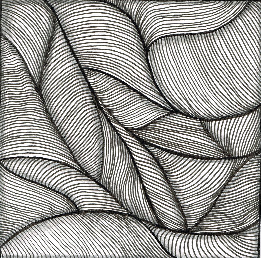 Folding Drawing by Stephanie Kelly - Fine Art America