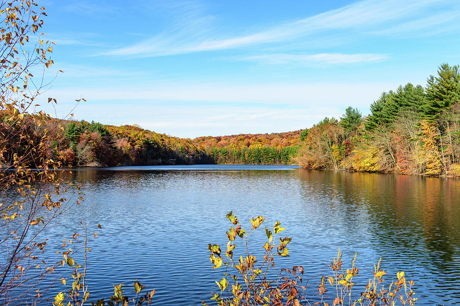 Foliage and Blue Sky Photograph by Winston Chou - Fine Art America