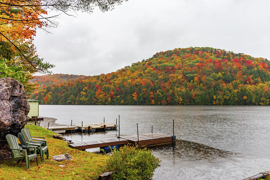 Foliage in Rainy Adirondacks Photograph by Winston Chou - Fine Art America