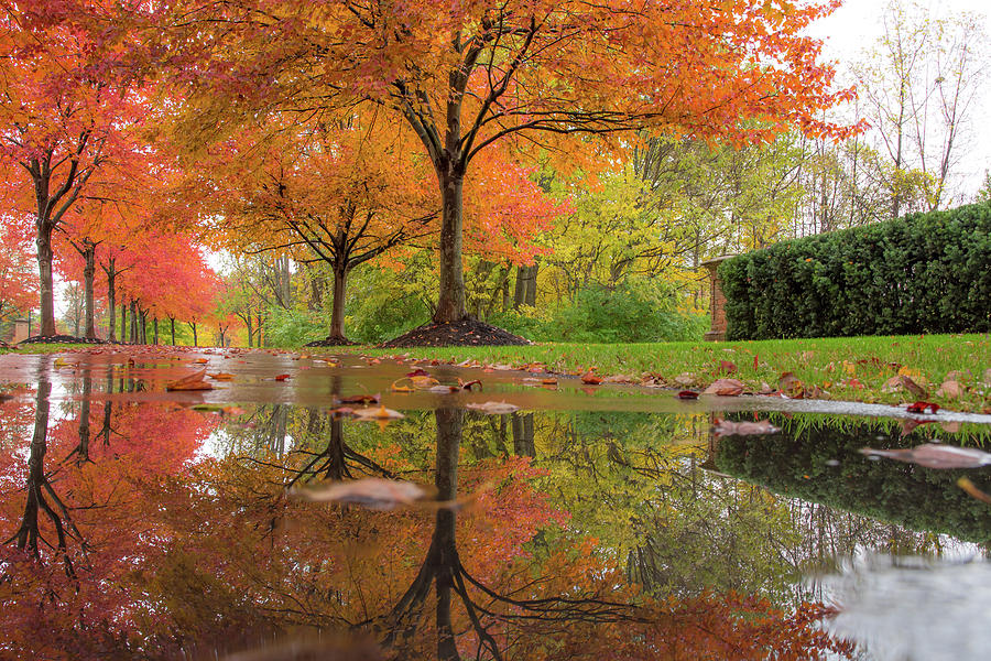 Foliage Reflections Photograph by Charlie Jones