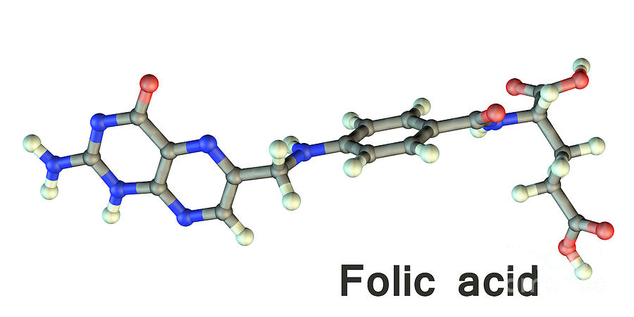 Folic Acid Vitamin B9 Molecule Photograph by Kateryna Kon/science Photo Library
