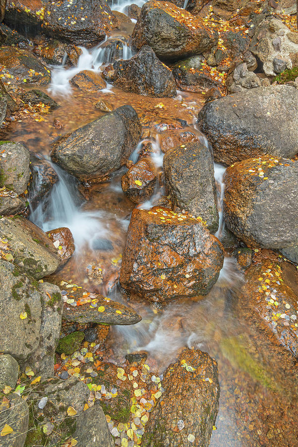 Fluere Is Latin For To Flow Photograph By Bijan Pirnia Pixels