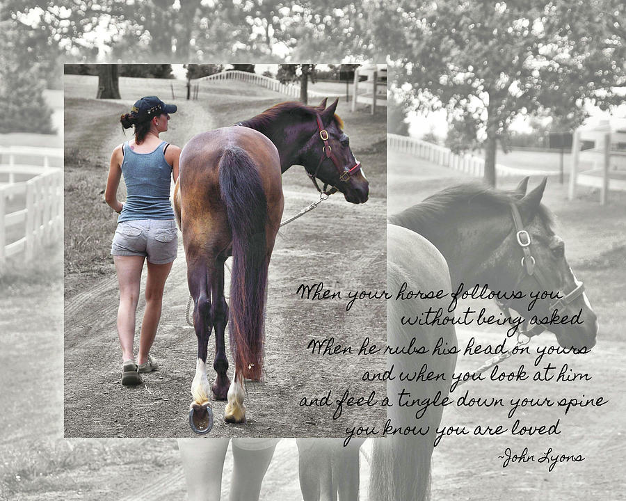 FOLLOW quote Photograph by Dressage Design