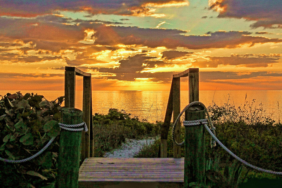 Follow The Gold Photograph by HH Photography of Florida
