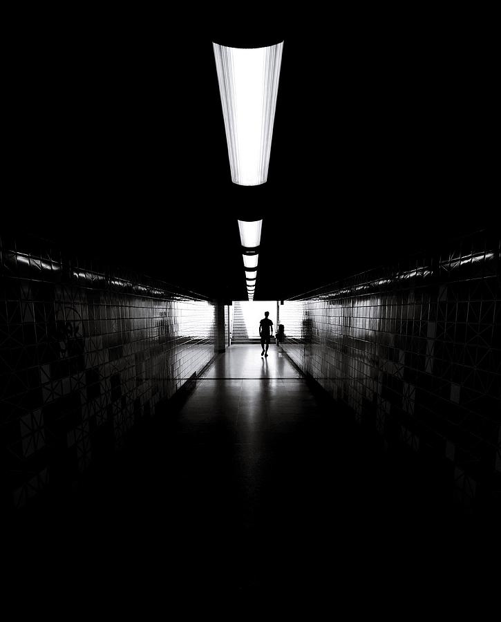 Silhouette Photograph - Follow The Light by Ezequiel59