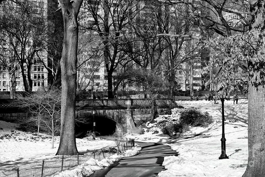 Follow the Path in Central Park New York City Photograph by John Rizzuto