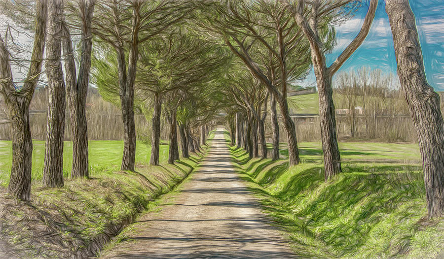 Follow the Tuscan Road Photograph by Marcy Wielfaert