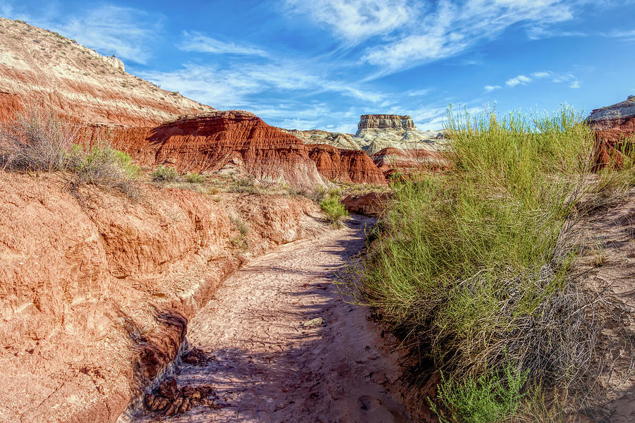 Follow the Wash - Toadstool Trail - Utah Photograph by Debra Martz
