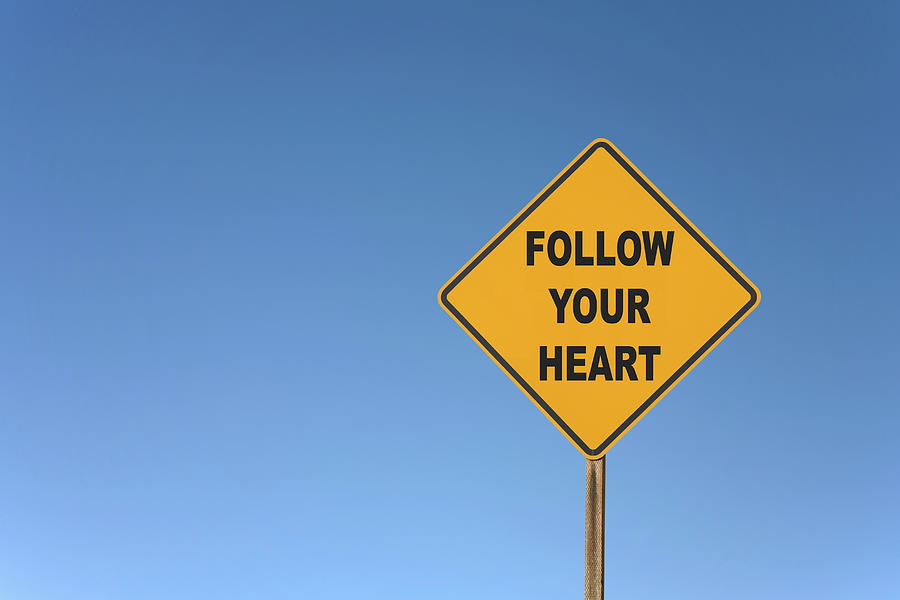 I follow your. Follow your Heart. Картинки follow your Heart. Follow your Heart — Следуй за своим сердцем. Follow your Heart перевод.