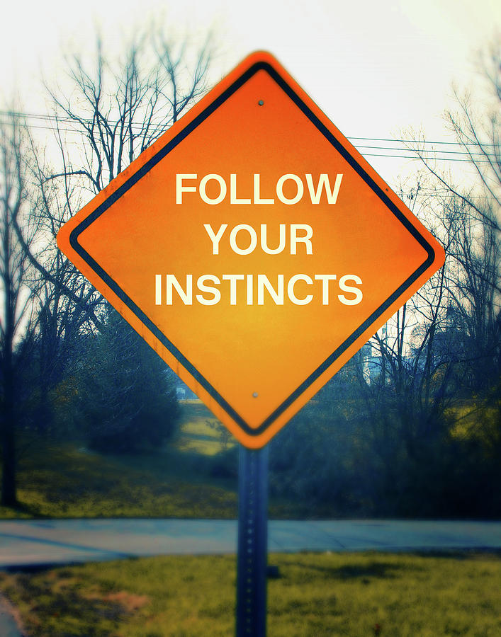 Follow Your Instincts- Art by Linda Woods Mixed Media by Linda Woods