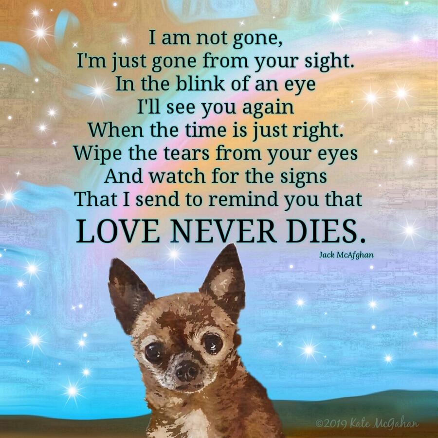 Fonda Love Never Dies Digital Art by Kate McGahan Fonda Love Never Dies Digital Art by Kate McGahan