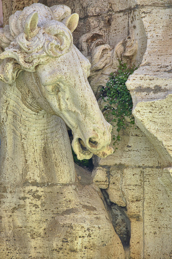 Fontana Cavallo Photograph by Dressage Design