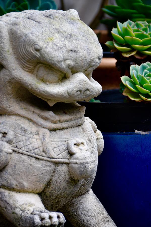 Foo Dog - Chinese Lion by Lehua Pekelo-Stearns Foo Dog - Chinese Lion by Lehua Pekelo-Stearns