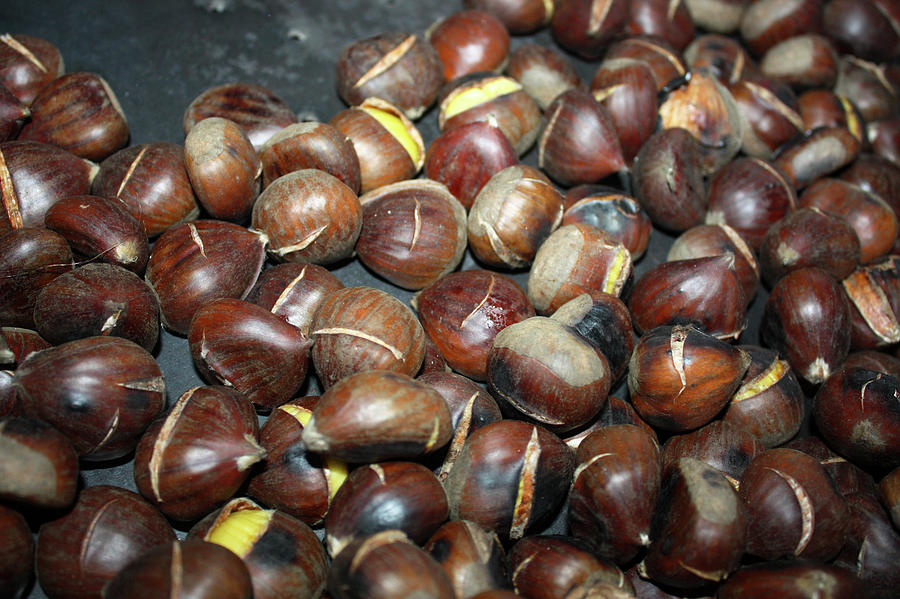 Chestnuts Photograph - Food 49 by Dane