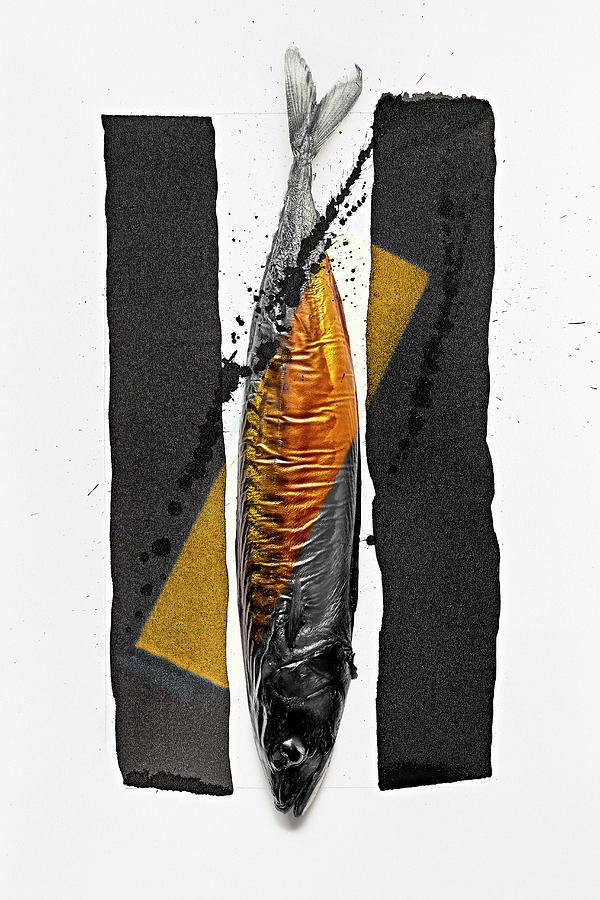 Food Art: Mackerel gold, Black And White Photograph by Manfred Rave