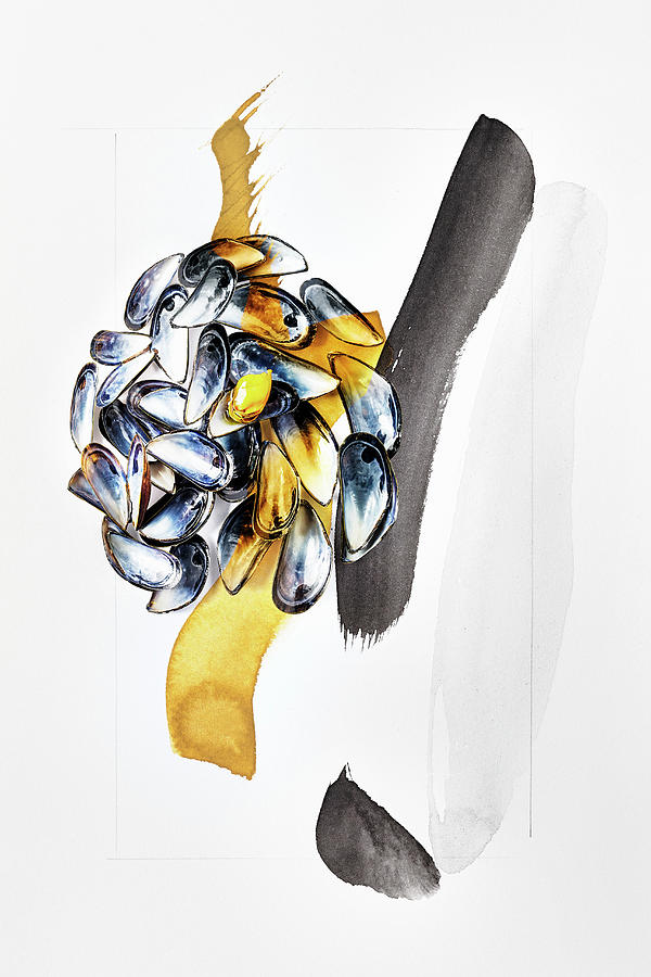 Food Art: Mussels blue, Gold, Black Photograph by Manfred Rave