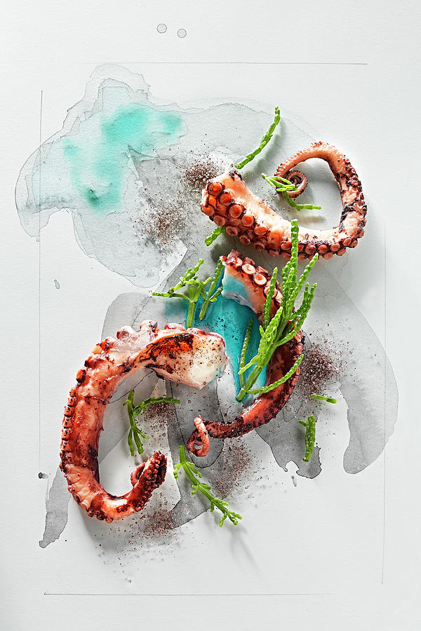 Food Art: Octopus With Samphire And Himalaya Salt On A Page Of Watercolour Photograph by Manfred Rave