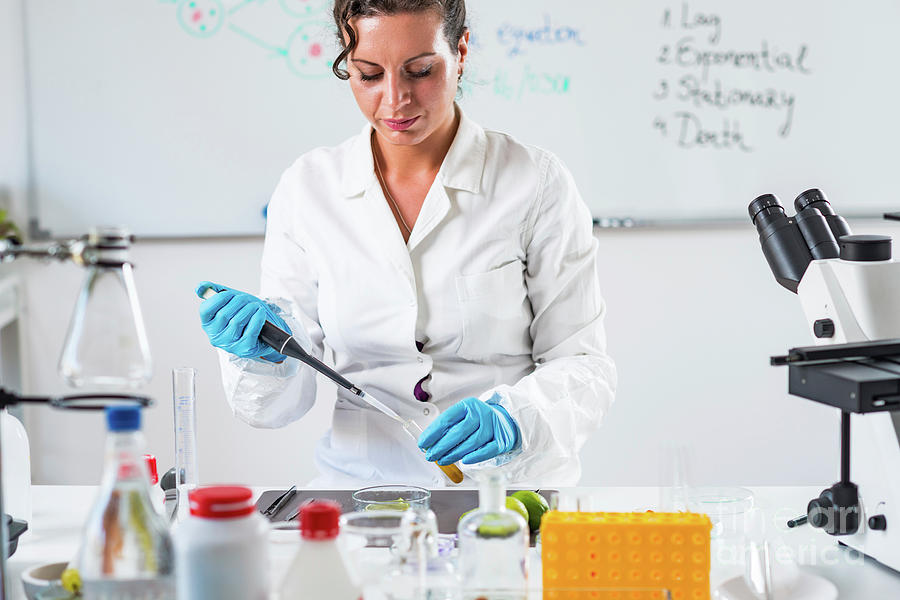 Fruit Photograph - Food Safety Inspector Working In A Lab by Microgen Images/science Photo Library