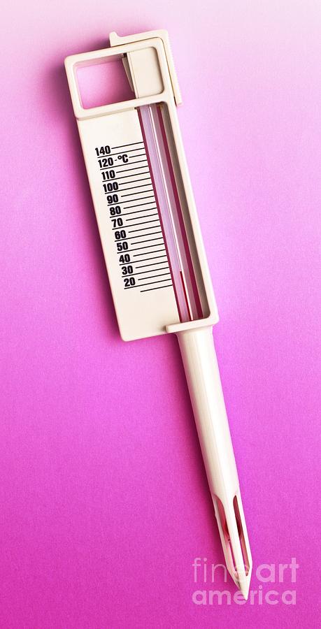 Food Thermometer Photograph by Martyn F. Chillmaid/science Photo Library