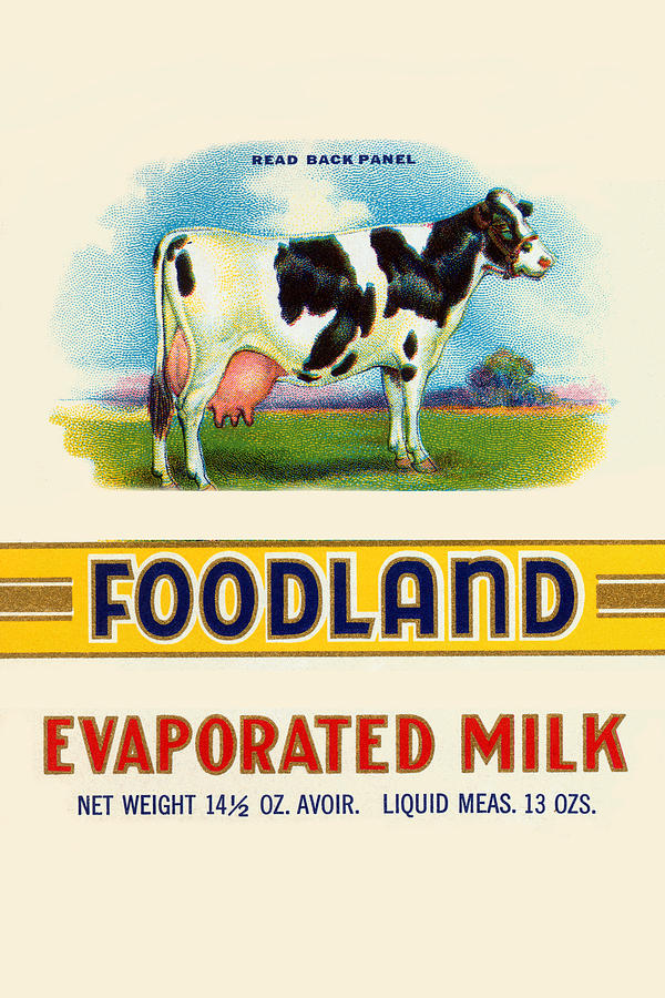 Foodland Evaporated Milk Painting by Unknown