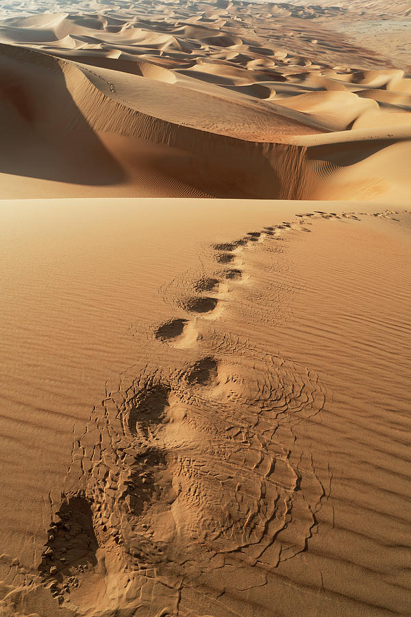 Nature Digital Art - Foot Steps On Sand Dune In The Empty Quarter Desert, Between Saudi Arabia And Abu Dhabi, Uae by Lost Horizon Images