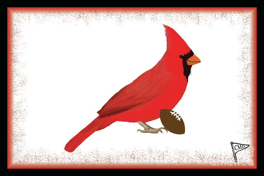 Louisville Digital Art - Football Cardinal by College Mascot Designs