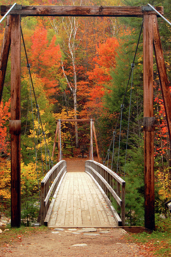 Footbridge in Autumn Photograph by James Kirkikis
