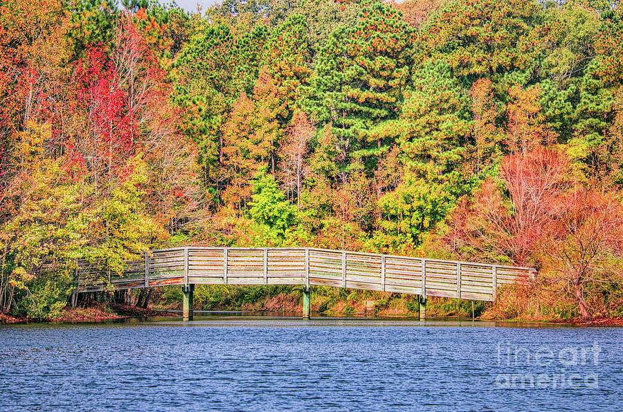 Footbridge in Autumn Photograph by Robert Anastasi