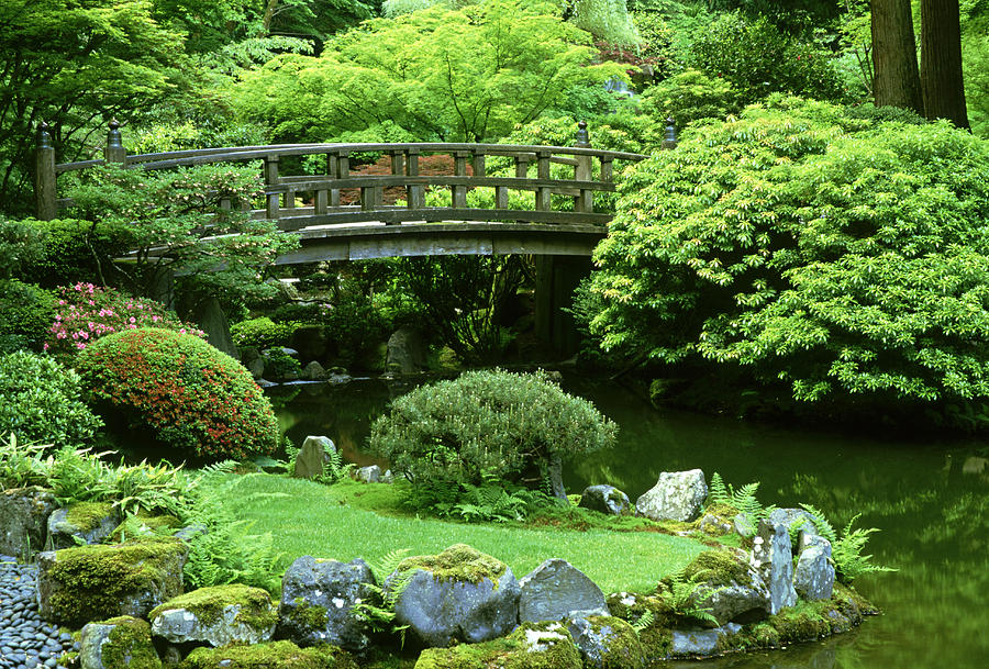 Footbridge Japanese Garden  Portland Photograph by Adam Jones