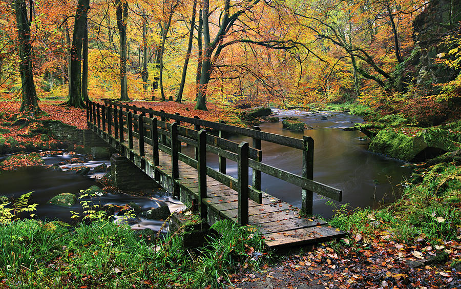 Footbridge Over A River In An Autumnal Photograph by Simon Butterworth