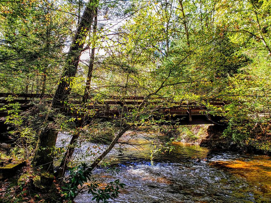 Footbridge Over Mountain Creek Photograph
