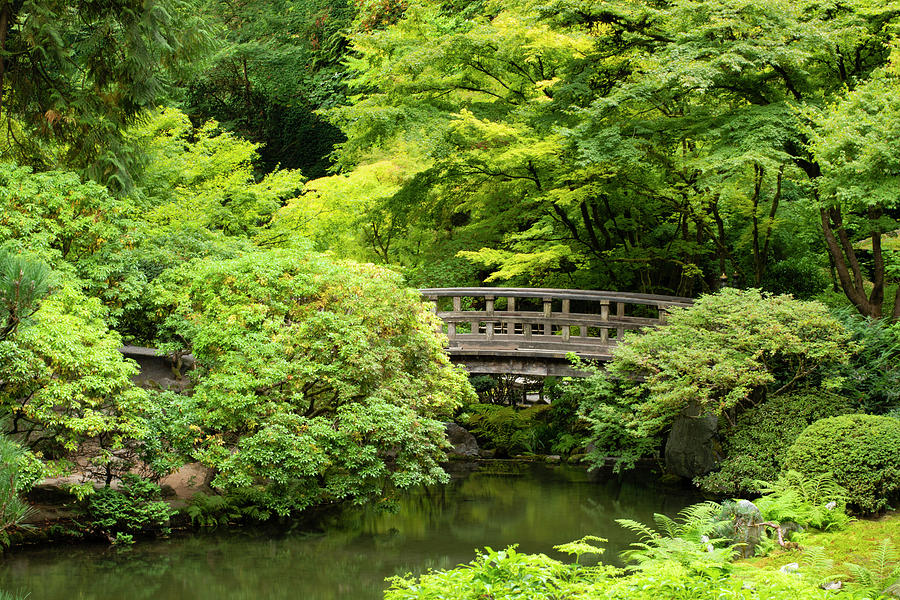 Footbridge Over Pond In Japanese Photograph by Panoramic Images
