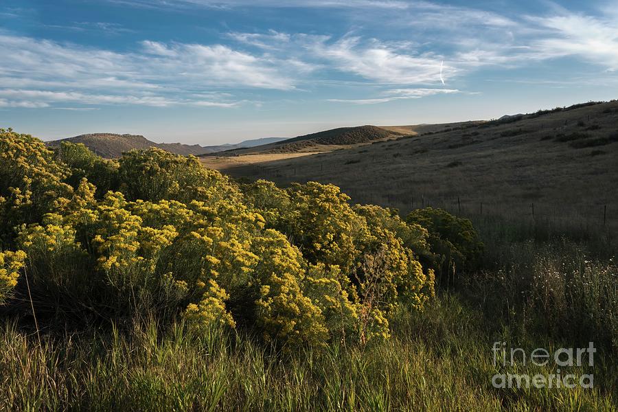 Foothills Evening by Jon Burch Photography Foothills Evening by Jon Burch Photography