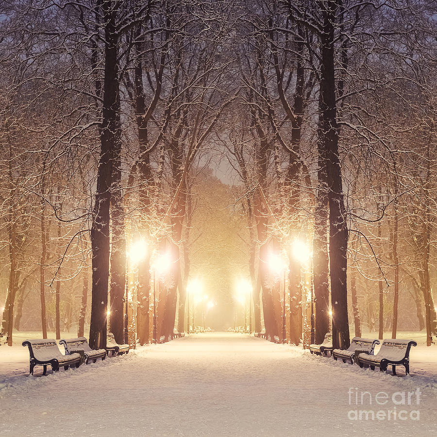 Christmas Photograph - Footpath In A Fabulous Winter City Park by Beerlogoff Christmas Photograph - Footpath In A Fabulous Winter City Park by Beerlogoff